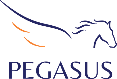 PT Pegasus Air Services logo